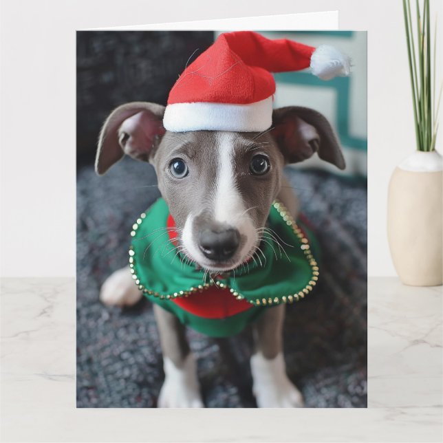 Greyhound Elf Puppy Cartão de Natal (Frente)