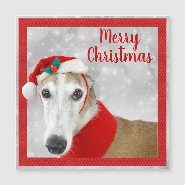 Greyhound Feliz Natal (Frente)