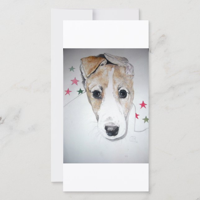 Greyhound Puppy (Frente)