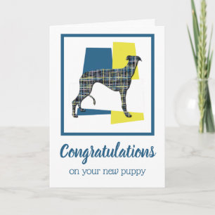 Greyhound Puppy Dog Parabéns Cartão de Saudação