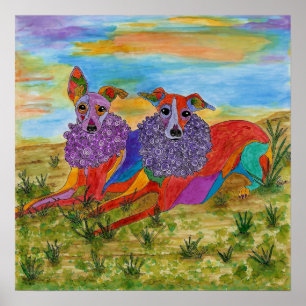 Greyhounds italiano Poster de 19" x 13" (personali