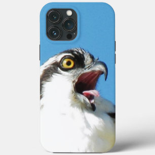 Gritando Osprey Tough