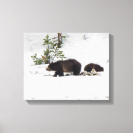Grizzlies na Canvas Esticada da Neve