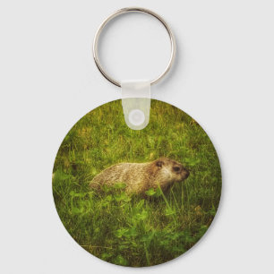 Groundhog em chaveiro de campo