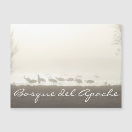 Gruas na neblina Bosque del Apache