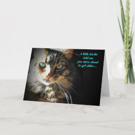 Grumpy Gatinho Come Birdy - Cartão de aniversário