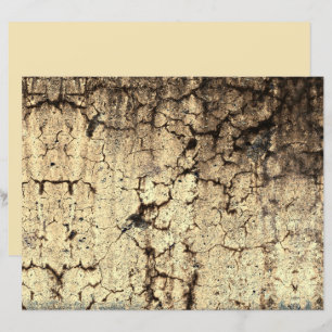 Grunge Rustic Beige Brown Textura Vintage
