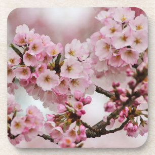 Grupo cor-de-rosa da porta copos das flores de