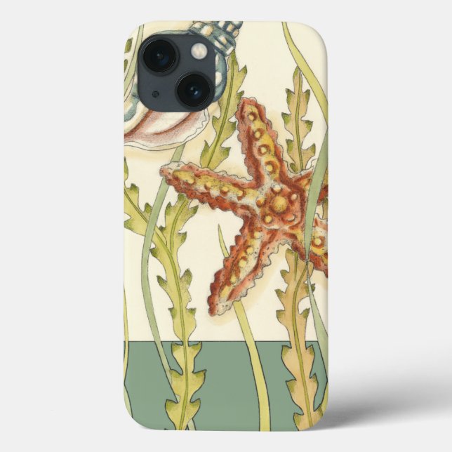 Grupo de Shell Multicolores (Verso)