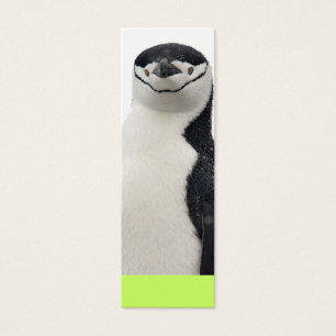 Grupo do livro do pinguim