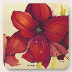 Grupo plástico da porta copos do Amaryllis