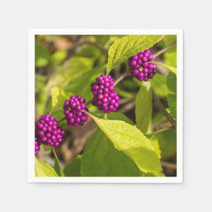 Guardanapo De Papel A amora americana Beautyberry