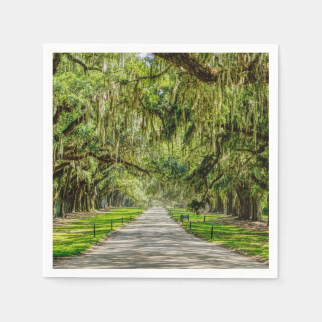 Guardanapo De Papel A Bela Avenida Dos Oaks (Frente)