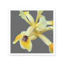 Abelha numa flor amarela