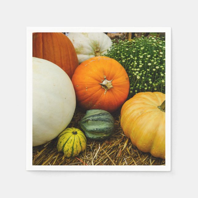 Guardanapo De Papel Abóboras E Cordas (Frente)