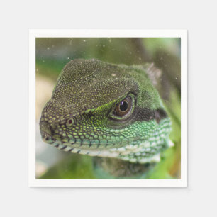 Guardanapo De Papel Agama, lagarto
