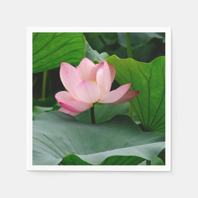 Guardanapo De Papel Água Lily Rosa (Frente)