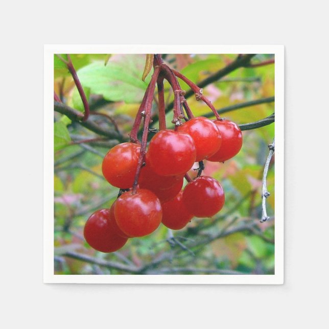 Guardanapo De Papel Airelas (Frente)