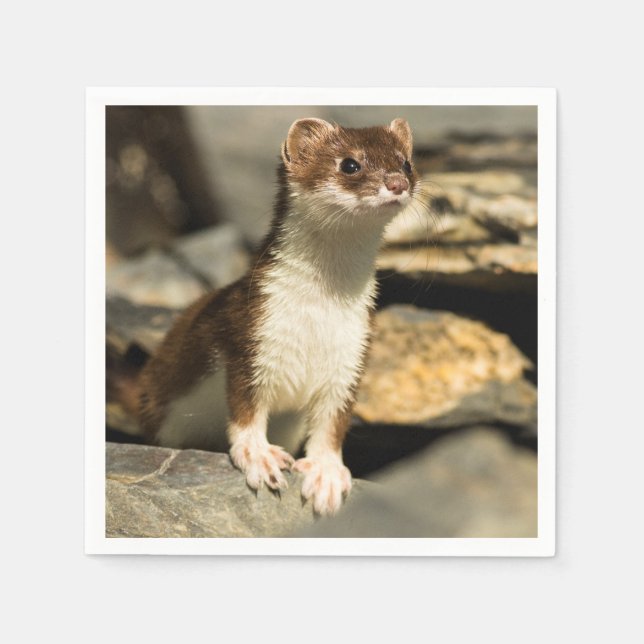 Guardanapo De Papel Alerta Weasel (Frente)