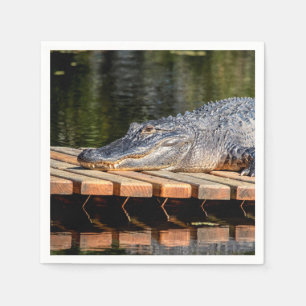 Guardanapo De Papel Alligator no Parque Estadual da Vida Selvagem de H