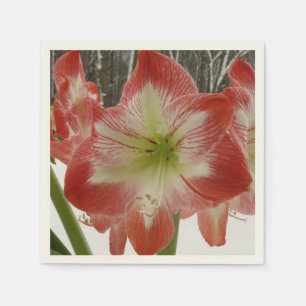 Guardanapo De Papel Amaryllis no Feriado Vermelho de Neve Floral de in