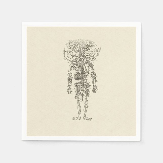 Guardanapo De Papel Anatomia Humana Ilustração Antiquada Das Artérias (Frente)