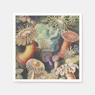 Guardanapo De Papel Anêmonas do Mar, Actiniae Seeanemonen Ernst Haeck