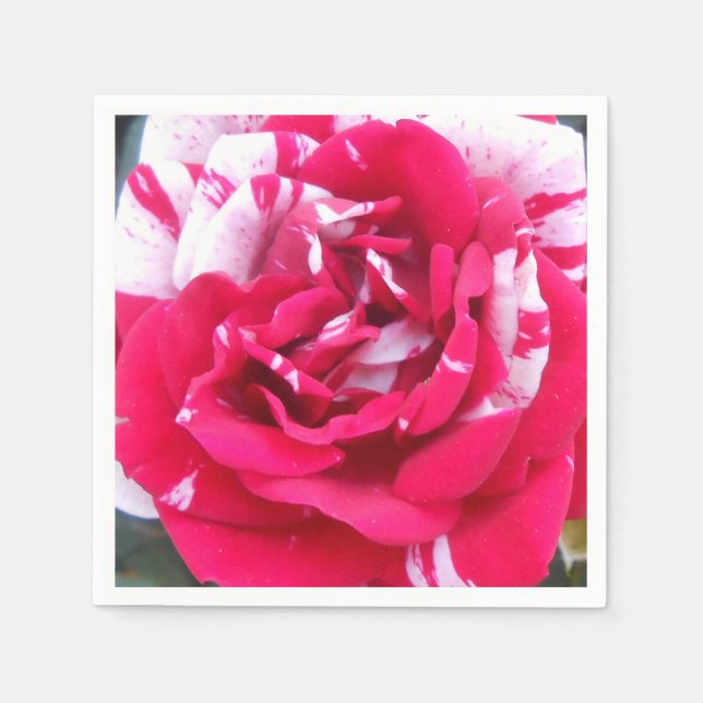 Guardanapo De Papel Anicia (Frente)