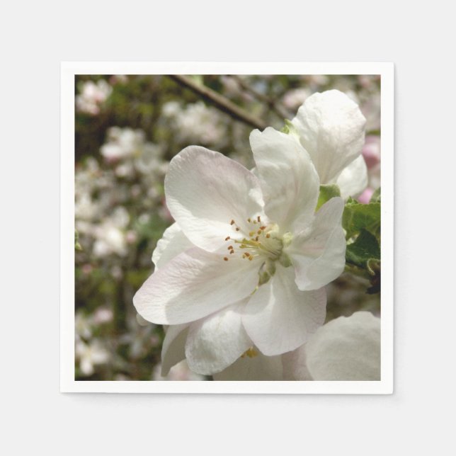Guardanapo De Papel Apple Blossom Paper Napkins (Frente)