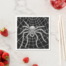 Aranha antiga tecendo teia