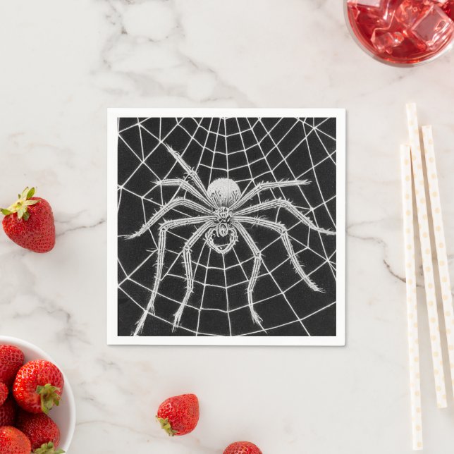 Guardanapo De Papel Aranha antiga tecendo teia (Insitu)