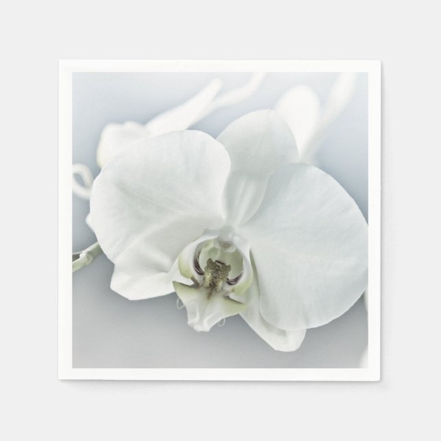 Guardanapo De Papel Arte Botânica de Orquídea Branca Elegante (Frente)
