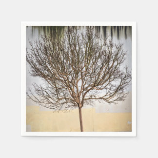 Guardanapo De Papel Árvore