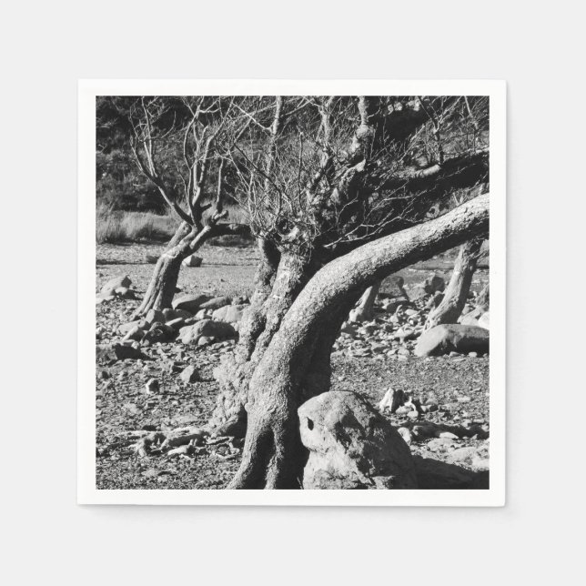 GUARDANAPO DE PAPEL ÁRVORES PRETAS E BRANCAS (Frente)