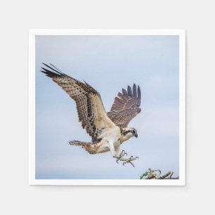 Guardanapo De Papel Aterrissagem de Osprey no ninho