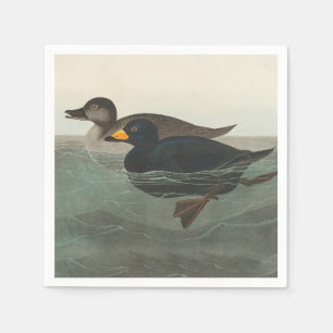 Guardanapo De Papel Audubon American Scoter Duck Classic