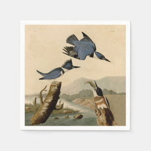 Guardanapo De Papel Audubon Belfisher Kingfisher Wildlife Bird