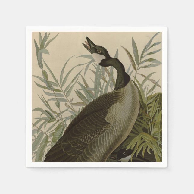 Guardanapo De Papel Audubon Canada Goose Willife Bird (Frente)