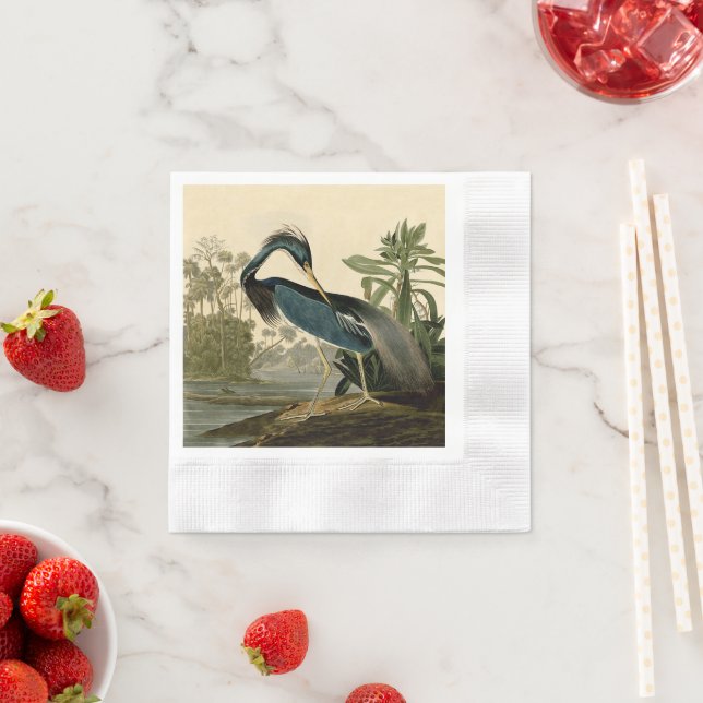 Guardanapo De Papel Audubon Garça da Louisiana Pássaros América Arte (Insitu)