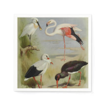 Aves Britânicas, Ilustrações de Arte