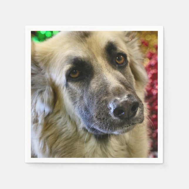 Guardanapo De Papel Aww (Frente)