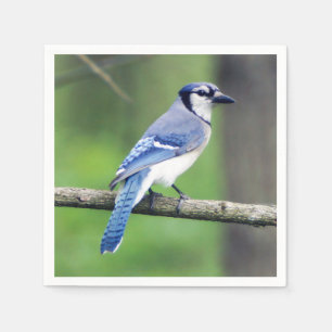 Guardanapo de papel azul de Jay