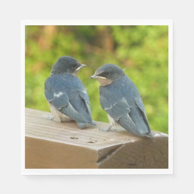 Guardanapo De Papel Baby Barn Swallow Nature Bird Foto (Frente)