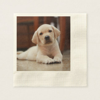 Guardanapo De Papel Baby Yellow Labrador Puppy Dog deitado em Belly