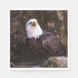 Guardanapo De Papel Bald Eagle