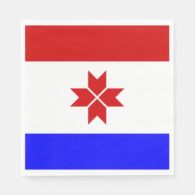 Guardanapo De Papel Bandeira da Mordóvia (Frente)