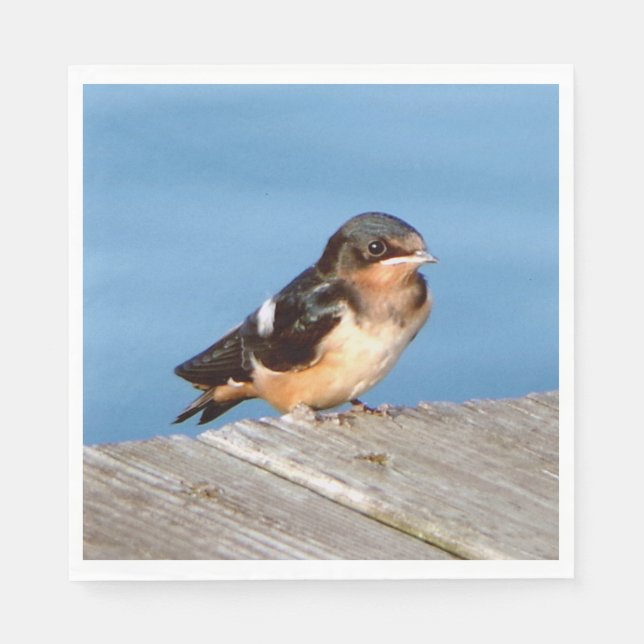 Guardanapo De Papel Barn Swallow napkin (Frente)