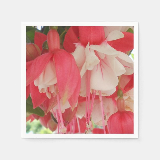 Guardanapo De Papel Bashkirtseff (Frente)