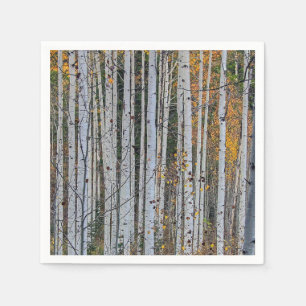 Guardanapo De Papel Bater Aspen no outono