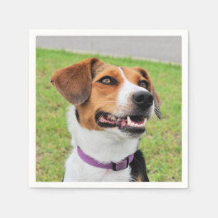 Guardanapo De Papel Beagle